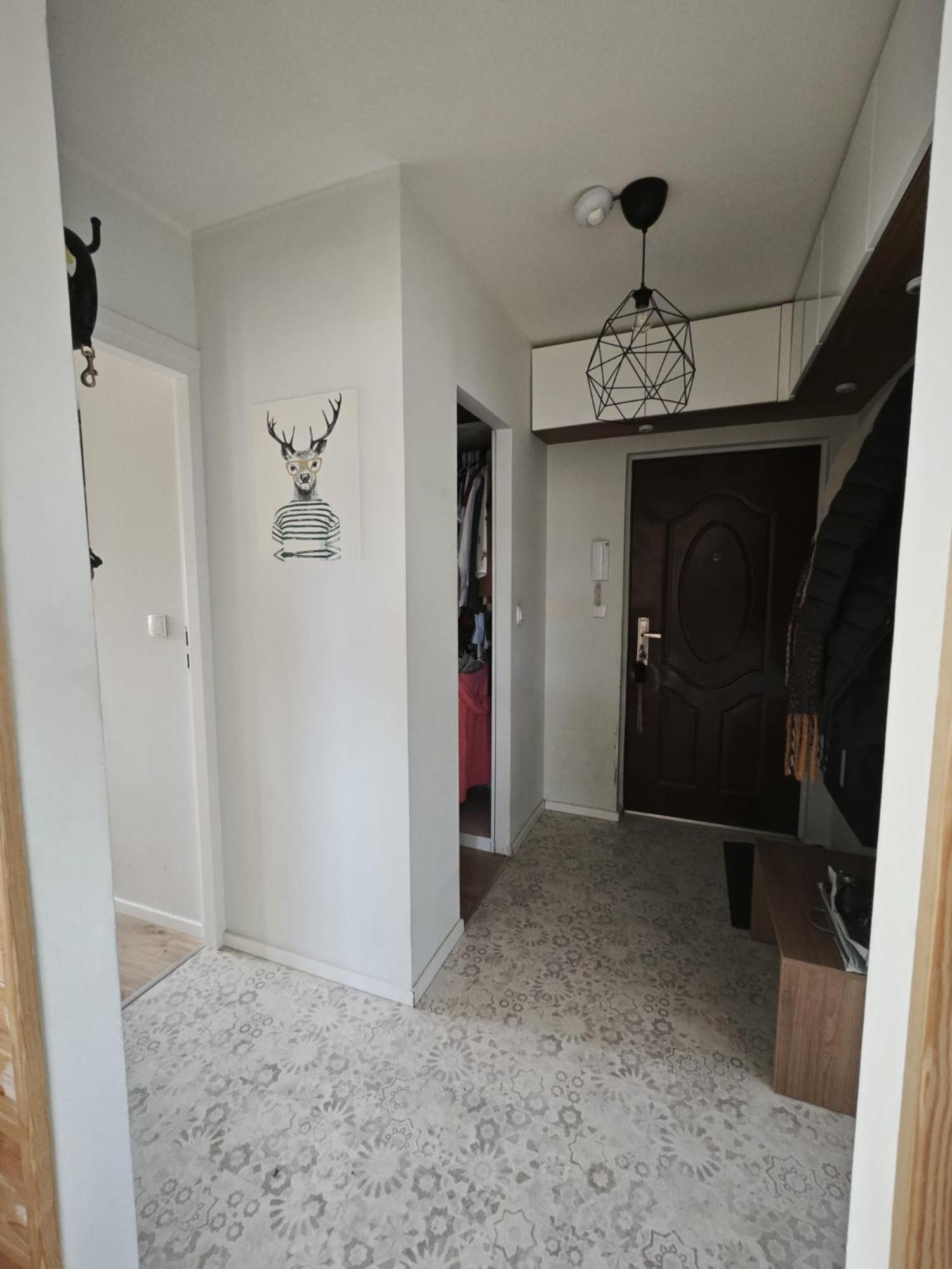 Appartamento Apartament - Krasinskiego Kłodzko Esterno foto